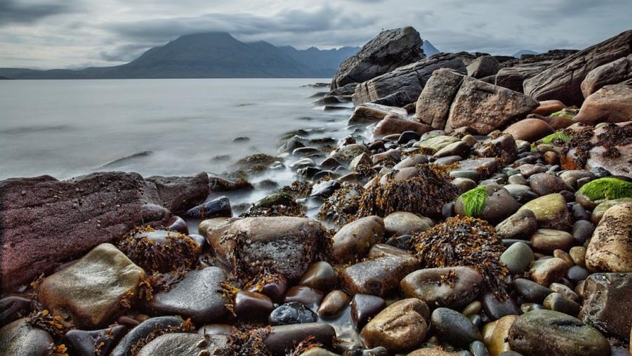 O equipo investigador vincula as diminucións co incremento de temperatura e o descenso do pH. FOTO: Pixabay