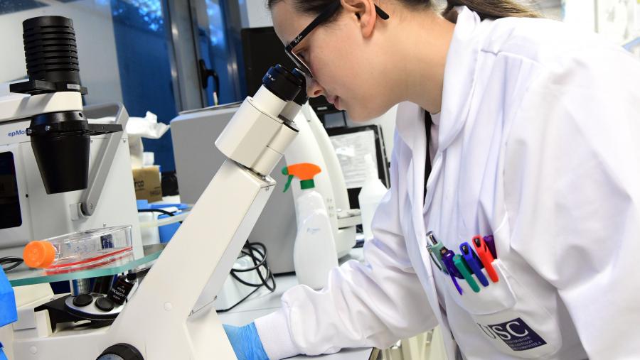 O Acelerador de Transferencia está aberto aos grupos de investigación de todas as áreas de coñecemento que teñan identificado algún resultado de investigación con potencial de transferencia. FOTO: Santi Alvite