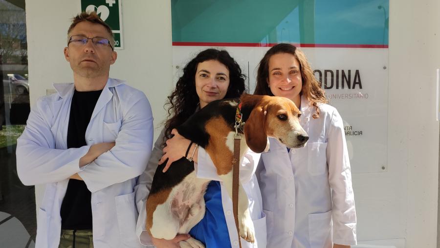 Javier Diéguez, Ángela González e Susana Muñiz de Miguel, no hospital veterinario Rof Codina