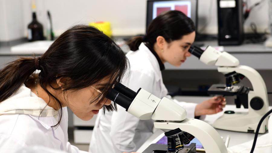 Presentacións de libros, xornadas, obradoiros, sesións de cinema, teatro, relatorios, coloquios e mesmo un trivial feminista veñen integrando o programa de actividades da USC. Imaxe de arquivo dunha clase práctica. FOTO: Santi Alvite
