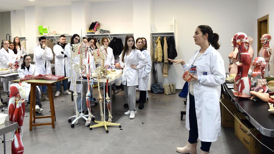 A convocatoria contempla dúas modalidades de participación dirixidas a membros e equipos do Persoal Docente e Investigador (PDI) da USC. Imaxe de arquivo dunha clase na USC. FOTO: Santi Alvite