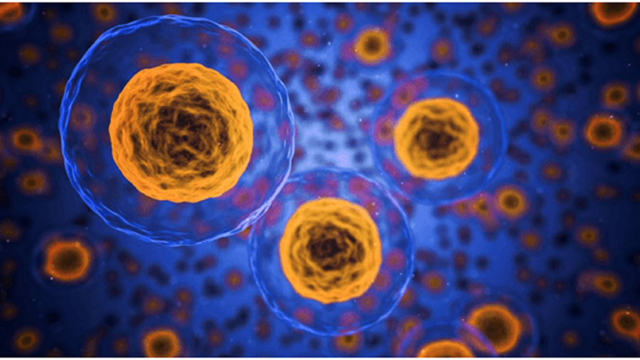 Imaxe que recrea toxinas