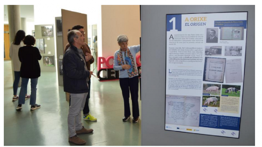 Álvarez, Fraga e Cantalapiedra visitan a exposición instalada na Biblioteca Intercentros