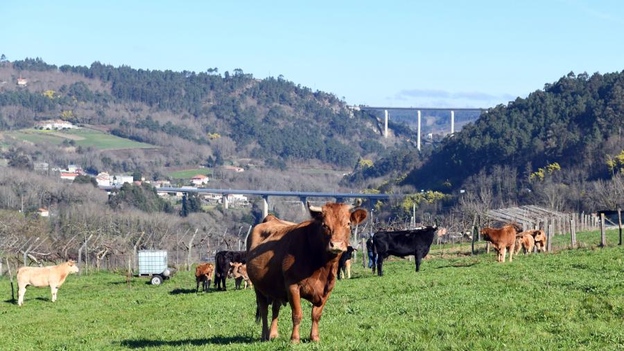 O obxectivo último do proxecto Sherpa e a revitalización e a sutentabilidade do medio rural. FOTO: Santi Alvite