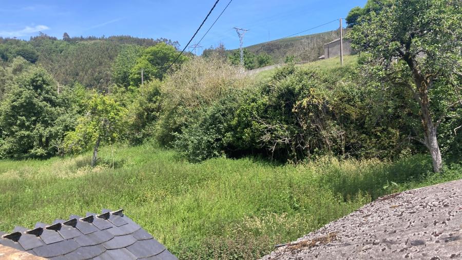 Lugar no que se levarán a cabo os traballos arqueolóxicos 