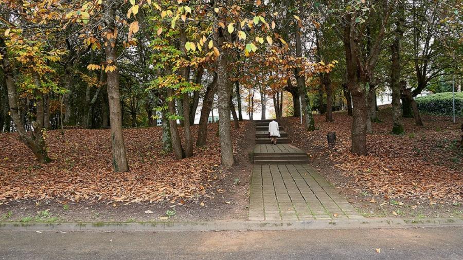 Carballeira do Campus de Lugo