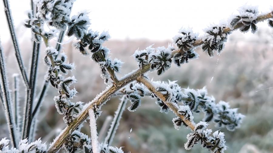 O número medio anual de días de vaga de frío na Península Ibérica e Baleares reducirase aproximadamente un 50% en comparación co período 1971-2000 (de 20,7 a 10 días). FOTO: Santi Alvite