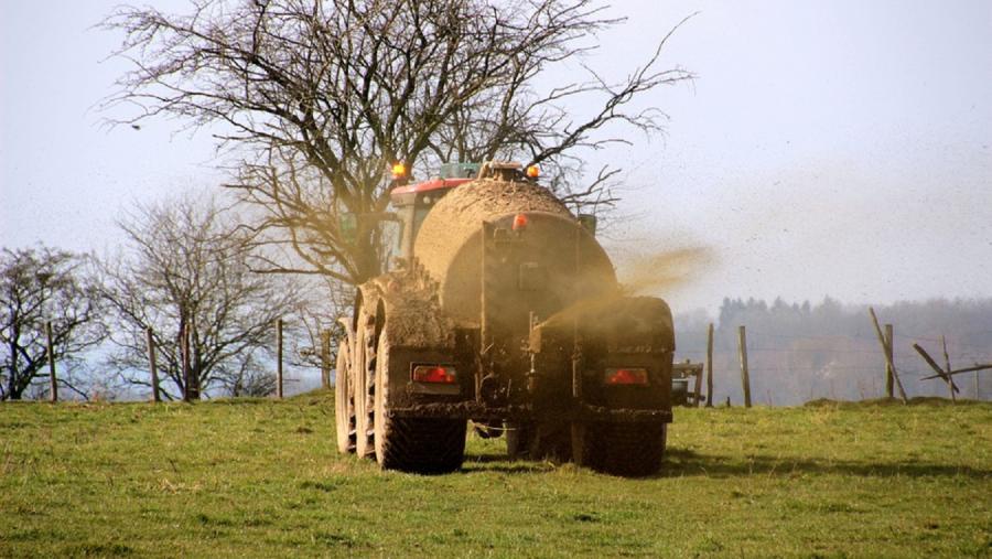 A investigación caracteriza o valor agronómicos dos xurros e avalía os riscos do seu uso. Foto: Pixabay