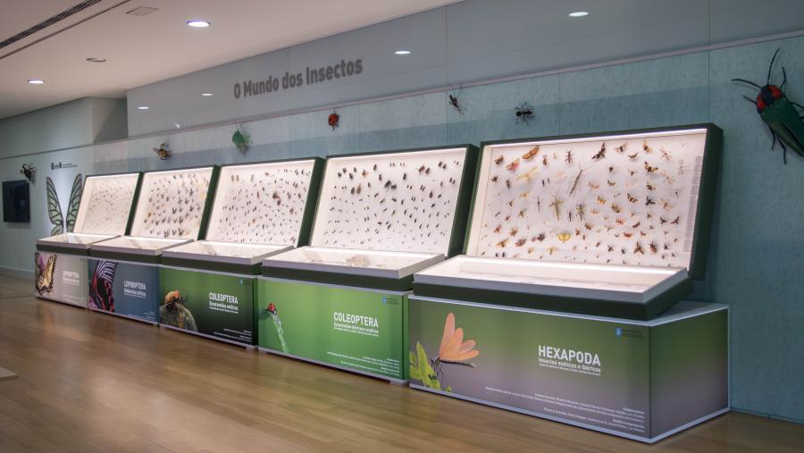A mostra inclúe unha selección de mil especies representativas de todos os continentes. Foto: MHN