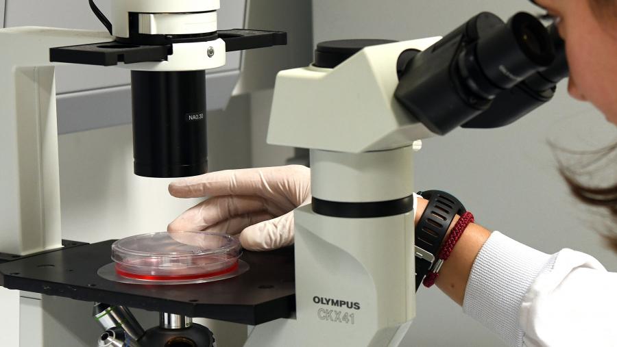 Imaxe de arquivo dun laboratorio da USC. FOTO: Santi Alvite