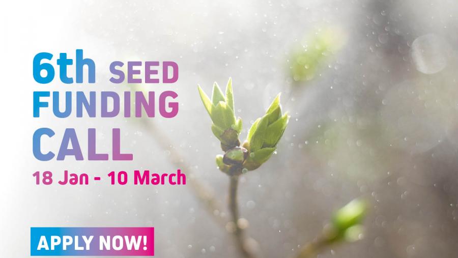 A avaliación de propostas comezará o 15 de marzo e o comité de selección finalizará as decisións de financiamento a finais do mes de abril. Cartel da convocatoria