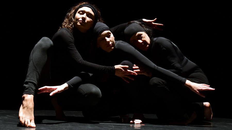 O encontro de Danza da USC chegará a Lugo entre os días 25 e 26 de abril, mentres que en Compostela terá lugar do 15 ao 16 do mesmo mes. FOTO: Santi Alvite