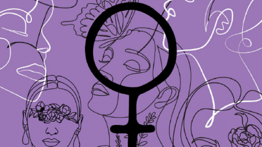 "A muller na banda deseñada"