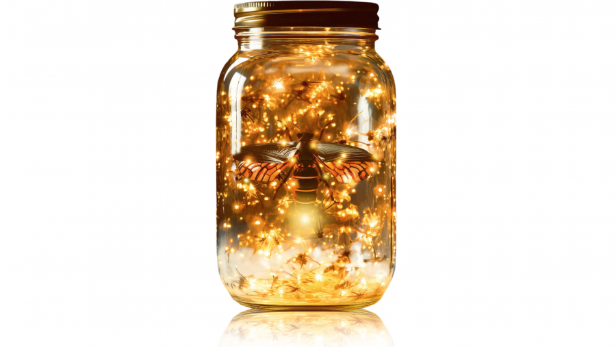 Imaxe da obra Os actos e as profecías