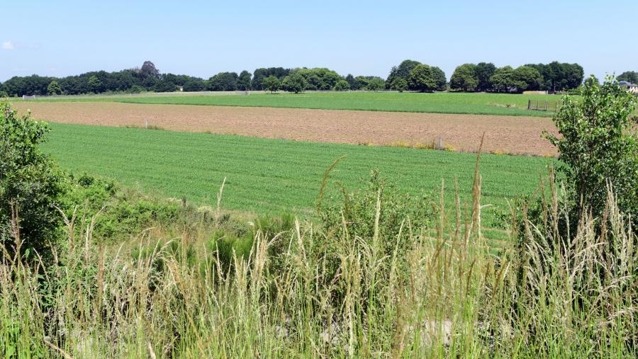 O proxecto comezou a andar a finais do ano 2022, centrado en facilitar a entrada no sector agrario de persoas  alleas ao mesmo. FOTO: Santi Alvite