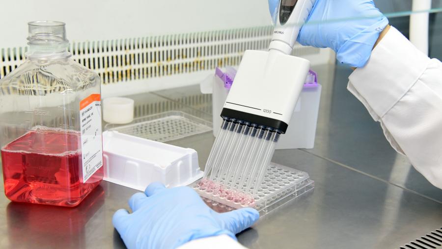 Imaxe duin laboratorio de Farmacia da USC. Foto. santi Alvite