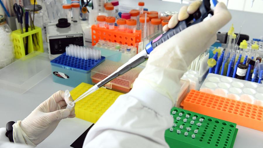 Un laboratorio da USC. FOTO: Santi Alvite