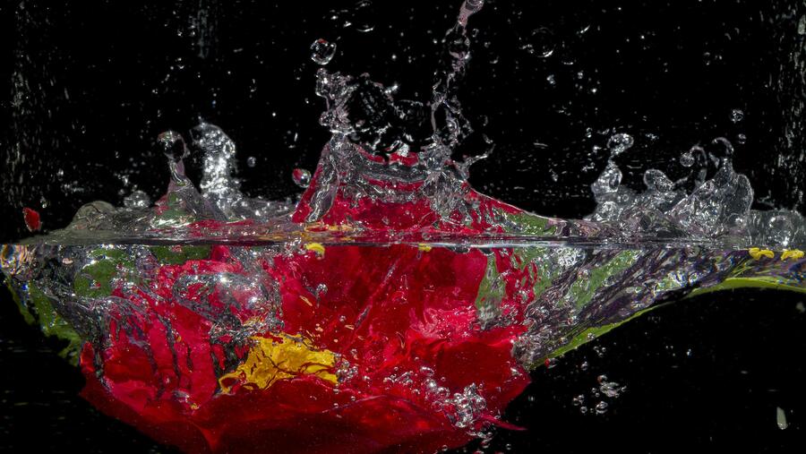 Instantánea ‘Tensión e Impacto’, primeiro premio do certame 'A ciencia en imaxe'. FOTO: María del Pilar Vázquez Tato 