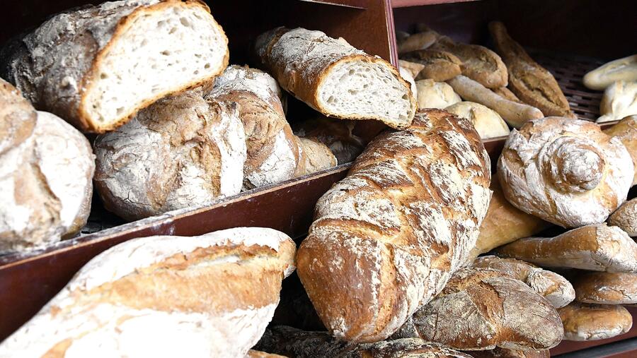 A Cátedra Institucional do Pan e do Cereal da USC ten como obxectivos xerais a investigación, o fomento da docencia e a difusión dos coñecementos no ámbito do pan e dos cereais. FOTO: Santi Alvite