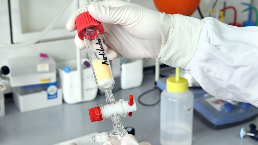 O programa MSCA Postdoctoral Fellowships é recoñecido como un dos máis prestixiosos e competitivos de Europa