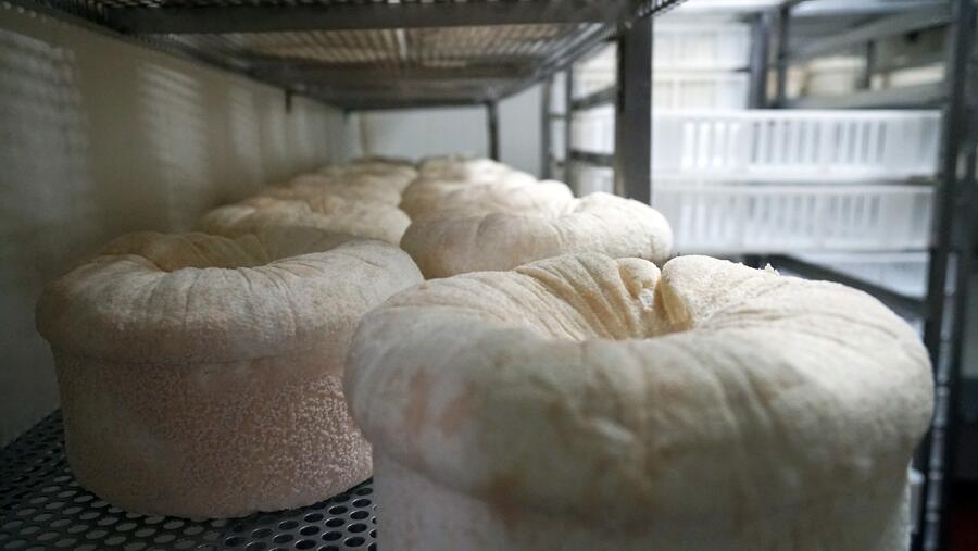 No Queixo do Cebreiro, a indicación xeográfica considérase unha oportunidade de desenvolvemento, pero “o escaso número de produtores compromete a súa sustentabilidade”. FOTO: https://www.facebook.com/queixocebreiro/