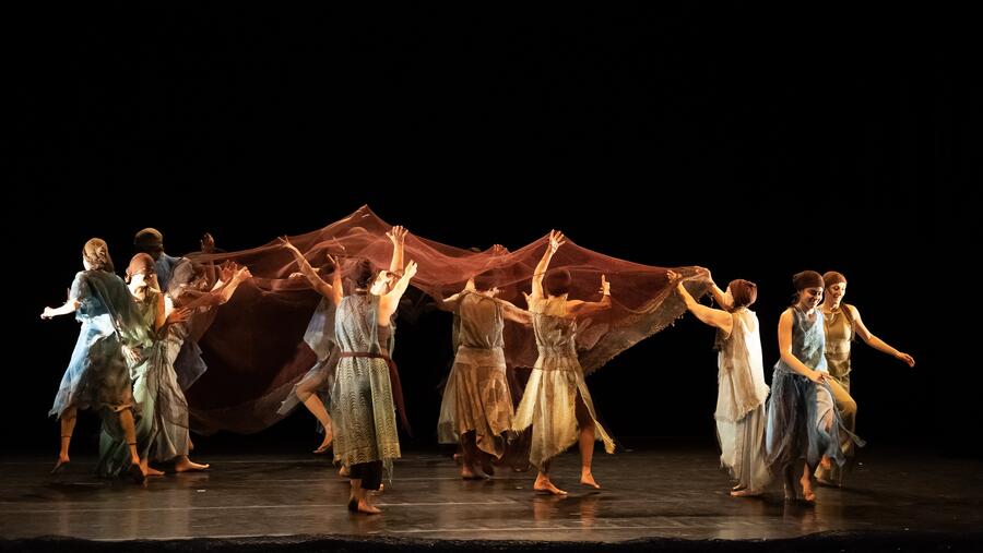 Detalle da actuación da compañía da USC