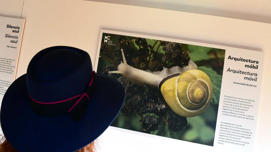 Dende a organización do evento sublíñase que todas as persoas que se dedican á xestión cultural “deben ser quen de construír respostas innovadoras que activen novos falantes e contribúan a reverter a tendencia ao devalo”. Imaxe de arquivo dunha mostra da USC. FOTO: Santi Alvite