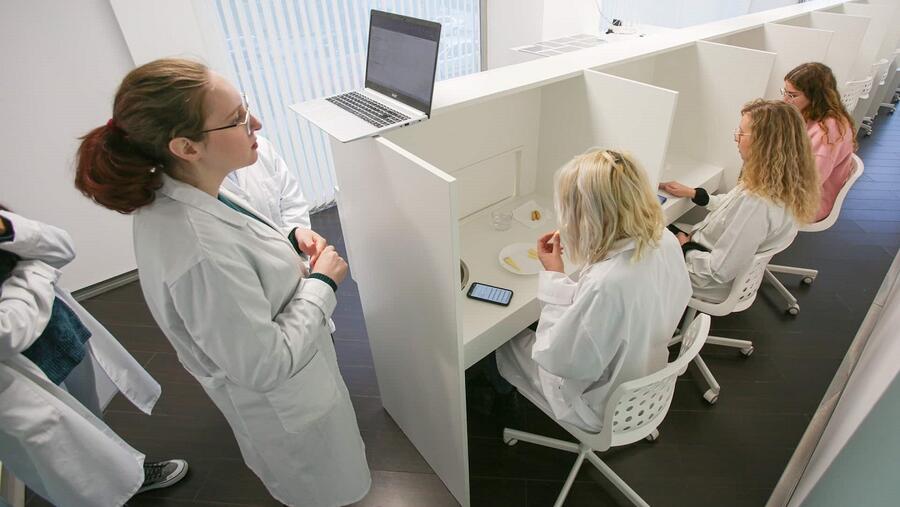 Xuízas adestradas realizando unha cata de queixos. Foto: Tastelab