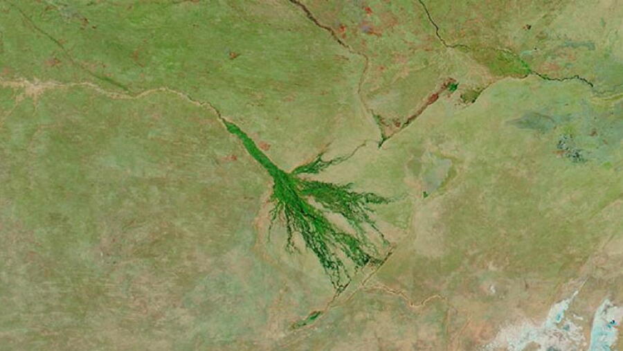 Imaxe de satélite do delta do Okavango no deserto de Botswana