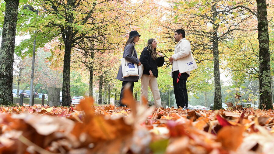 O outono é con case que 90 días a terceira estación do ano en duración. FOTO: Santi Alvite