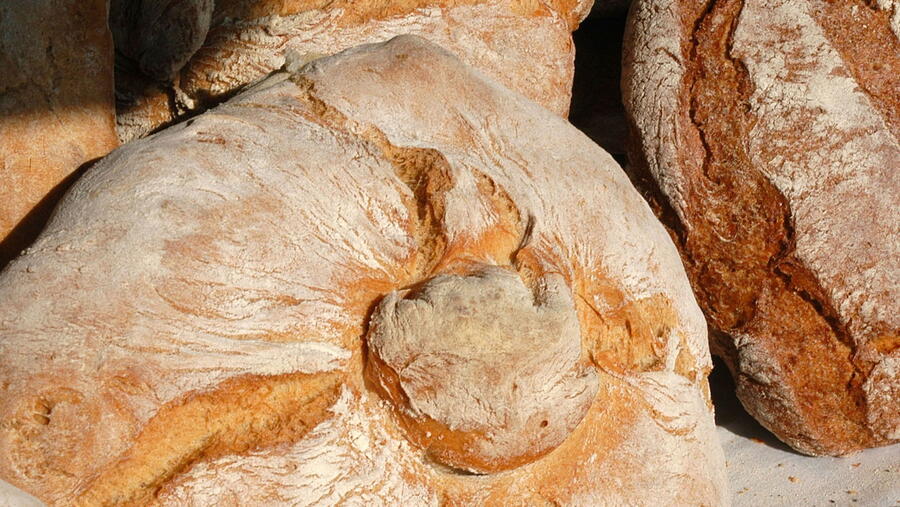 Terán cabida todos aqueles TFG e TFM que abrangan dende a produción dos cereais ata a fase final de comercialización dos produtos obtidos. FOTO: Santi Alvite