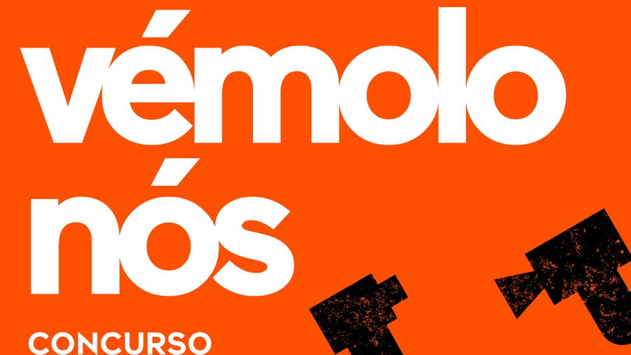 Detalle do cartel do certame