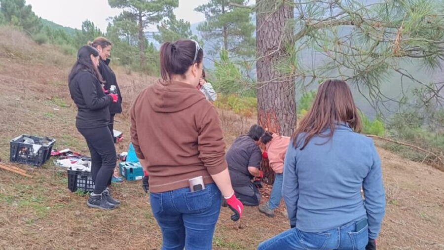 Estas actividades enmárcanse nun programa máis amplo de máis dunha ducia de cursos gratuítos que CARES desenvolve este outono en Galicia, Asturias e León, todos eles orientados a promover unha xestión forestal activa, sostible e xeradora de emprego local. FOTO: https://caresgestionforestal.com/