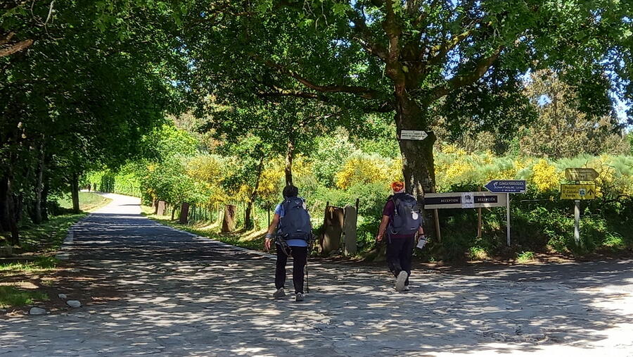 O evento busca analizar o Camiño de Santiago como espazo de benestar. Foto: Lucrezia López