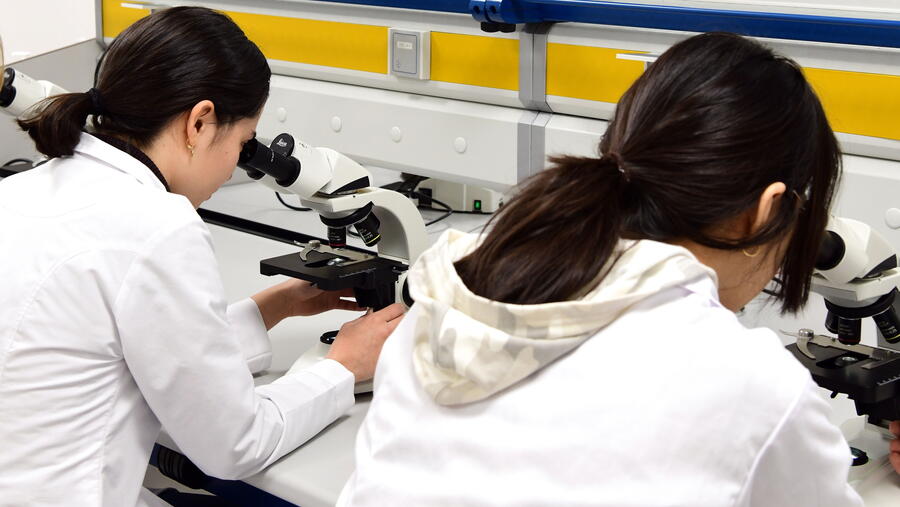Estudantes nun laboratorio de Bioloxía. Foto: Santi Alvite
