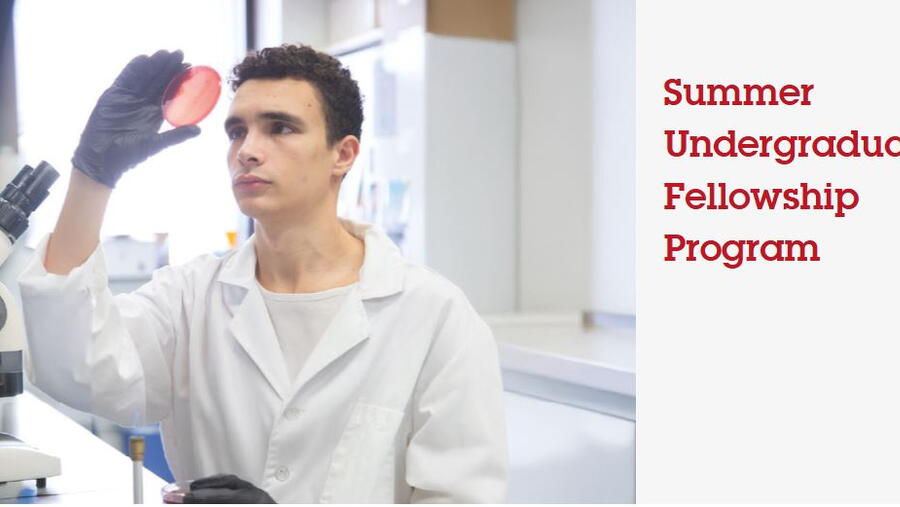 Summer Undergraduate Fellowship Program. O prazo de presentación de solicitudes remata o 28 de novembro de 2025.