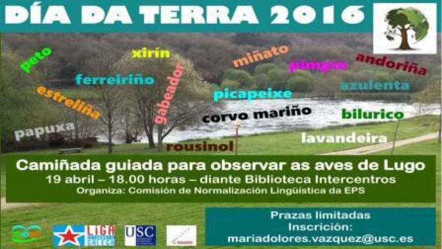 Cartaz da camiñada ornitolóxica