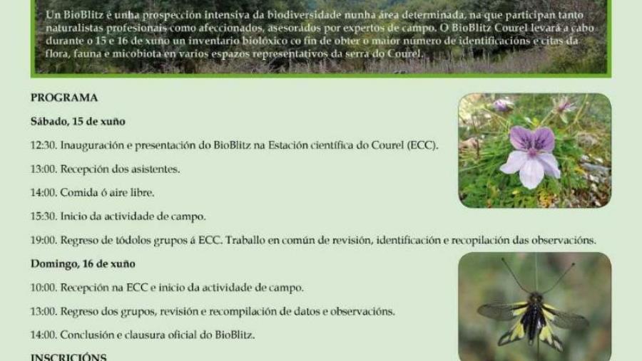 Cartaz e programa do II Bioblitz Ancares-Courel