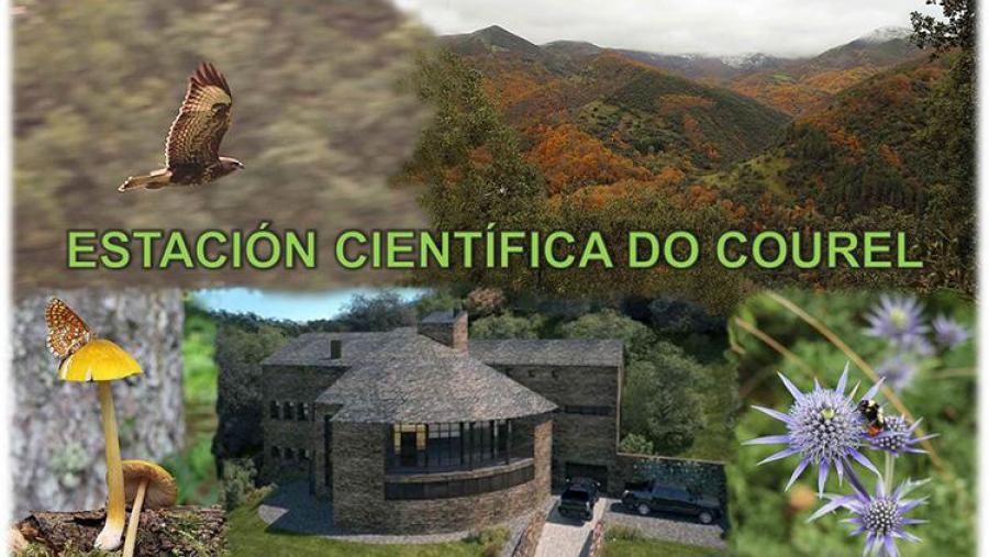 Participantes e promotores do curso sobre grandes carnívoros celebrado na Estación Científica do Courel